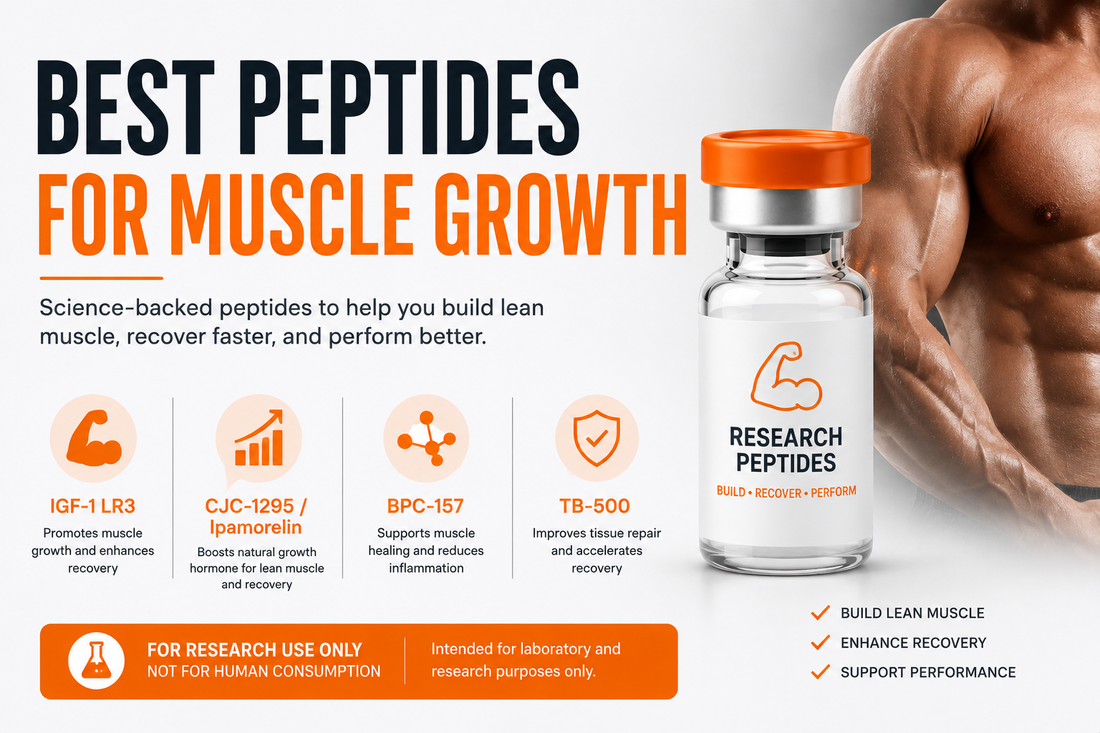 Suggested Image Alt Text Scientific illustration comparing IGF-1 LR3, IGF-1 DES, Tesamorelin, BPC-157, TB-500, and MOTS-c for skeletal muscle growth and exercise physiology research.